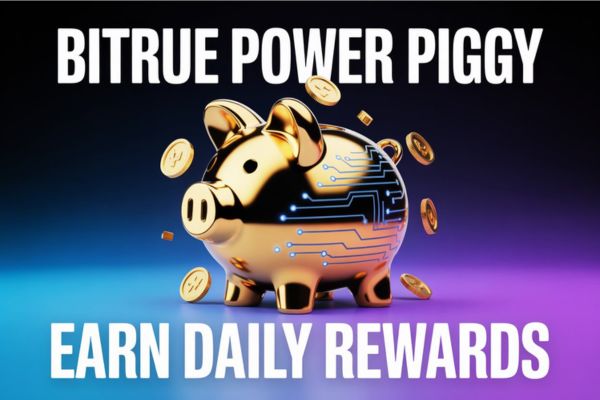 bitruepowerpiggyoffe